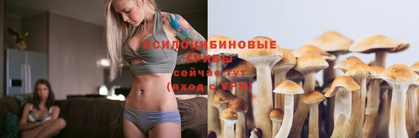 гидропоника Беломорск