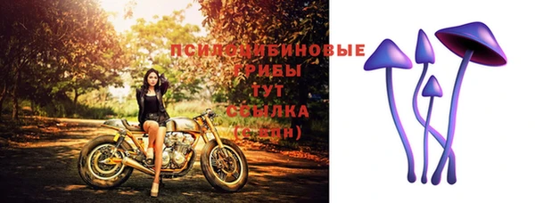 гидропоника Беломорск