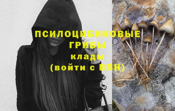 гидропоника Беломорск