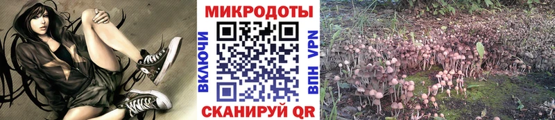магазин продажи   Надым  Псилоцибиновые грибы ЛСД 
