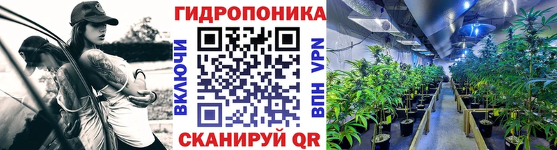 Каннабис конопля Надым